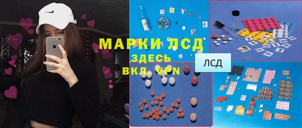 хмурый Алексин