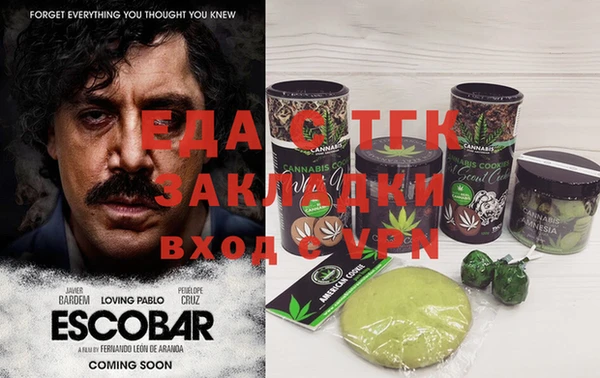 хмурый Алексин