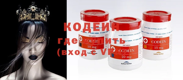 хмурый Алексин