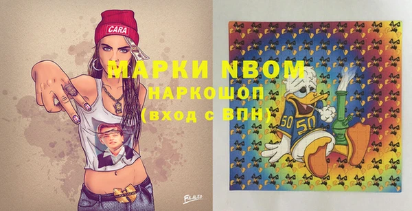 хмурый Алексин