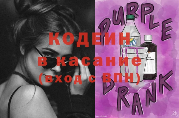 хмурый Алексин