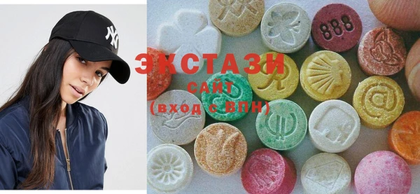 хмурый Алексин