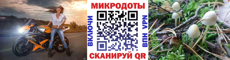 Галлюциногенные грибы мухоморы  гидра как зайти  Вихоревка 